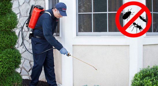 Gölpazarı Böcek İlaçlama böcek ilaçlama ve haşere kontrolü — ilaclama-tr.com